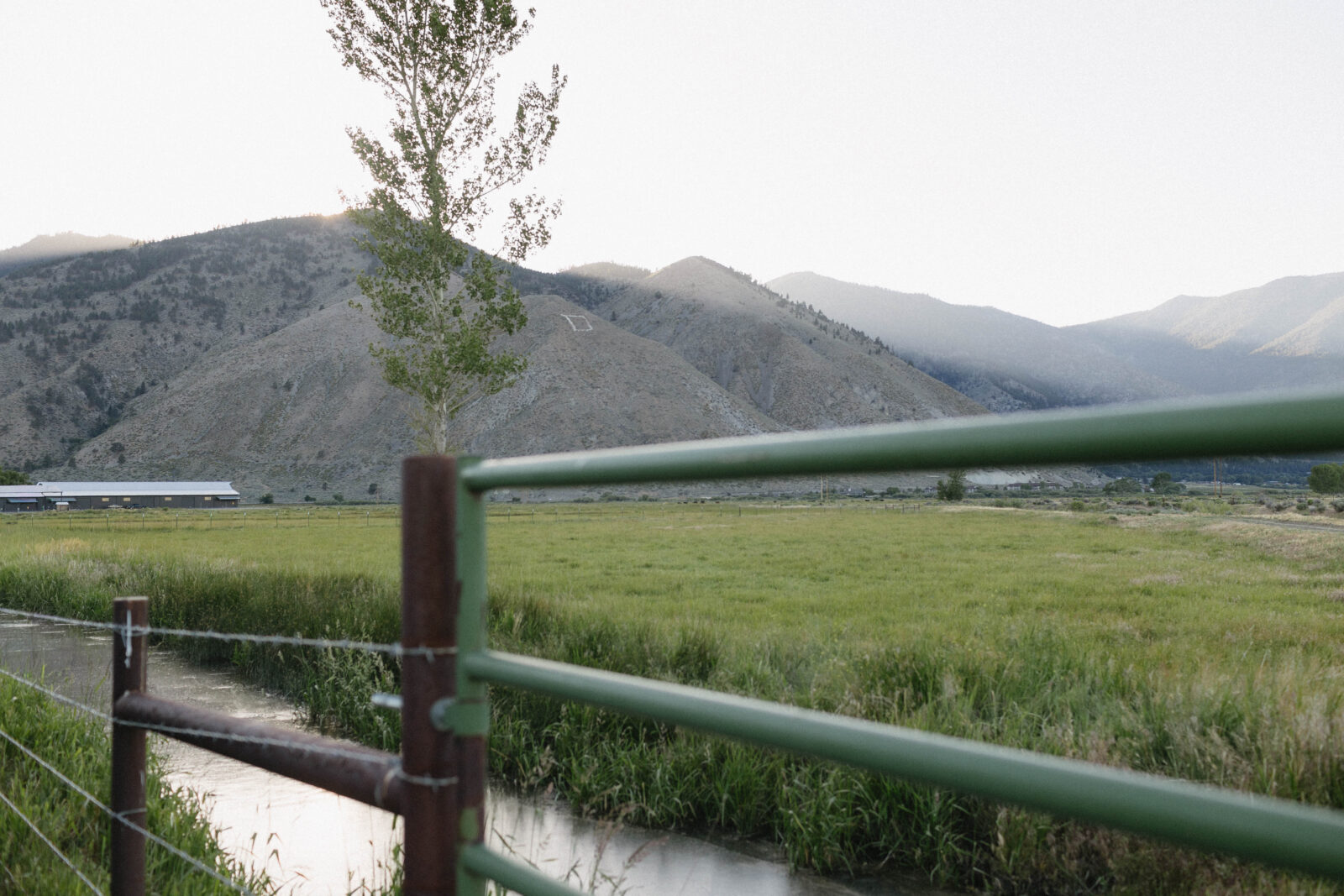 Wide view shot of Jobs Peak in Genoa, Nevada. 